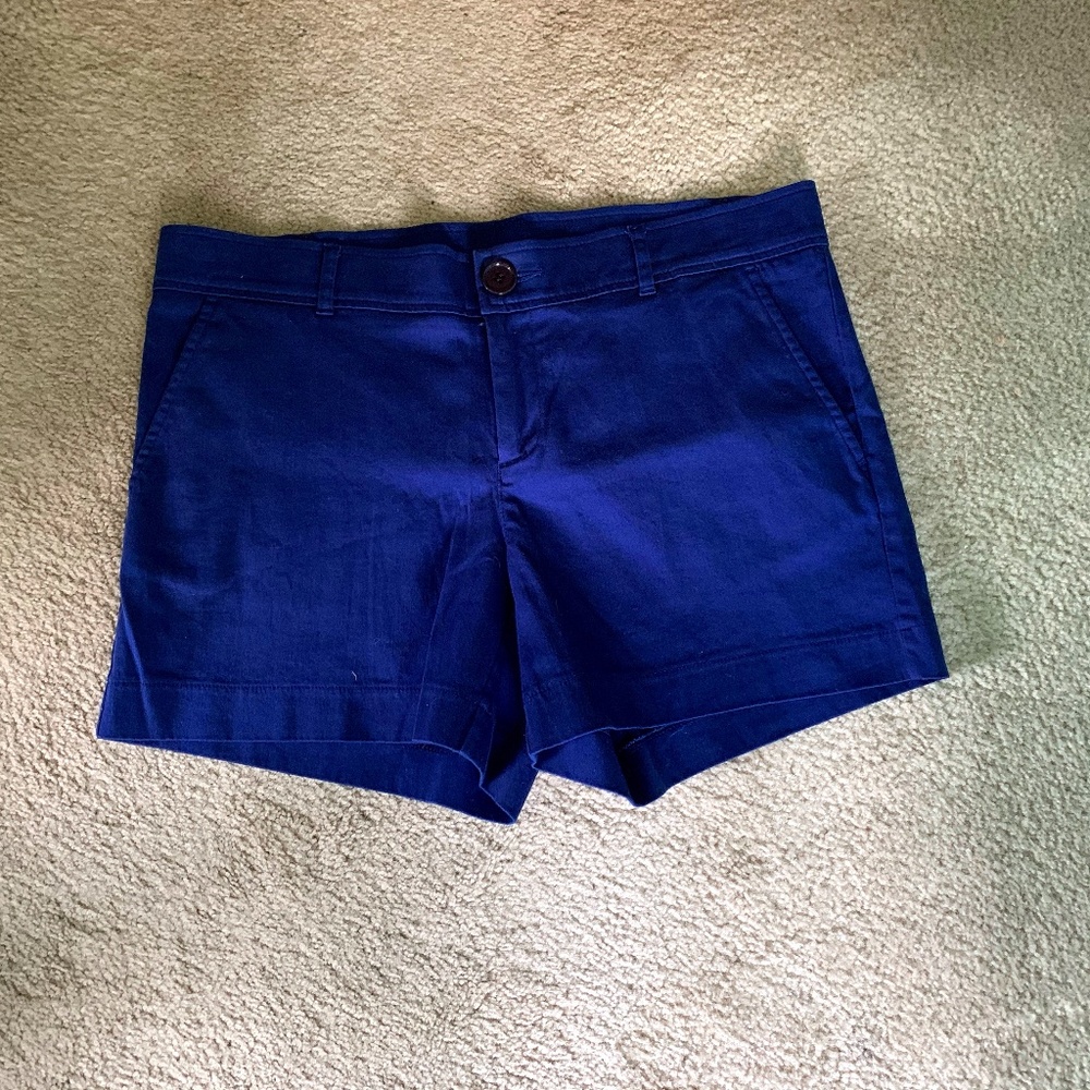 Tracy Negoshian Navy Shorts- Sz10